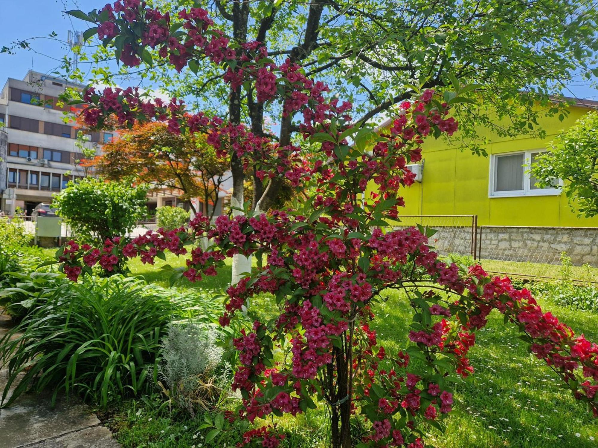 Studio Apartman Marica - Ogulin, Hrvatska Exterior foto