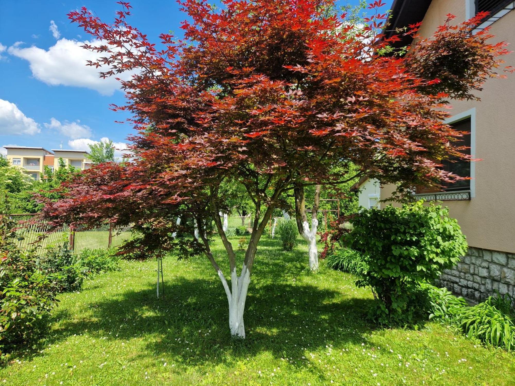 Studio Apartman Marica - Ogulin, Hrvatska Exterior foto